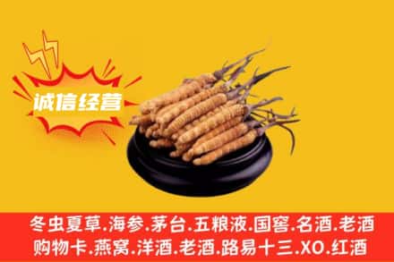 平度市回收冬虫夏草